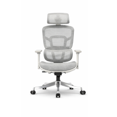 Aero High Back Ergonomic Mesh Office Chair